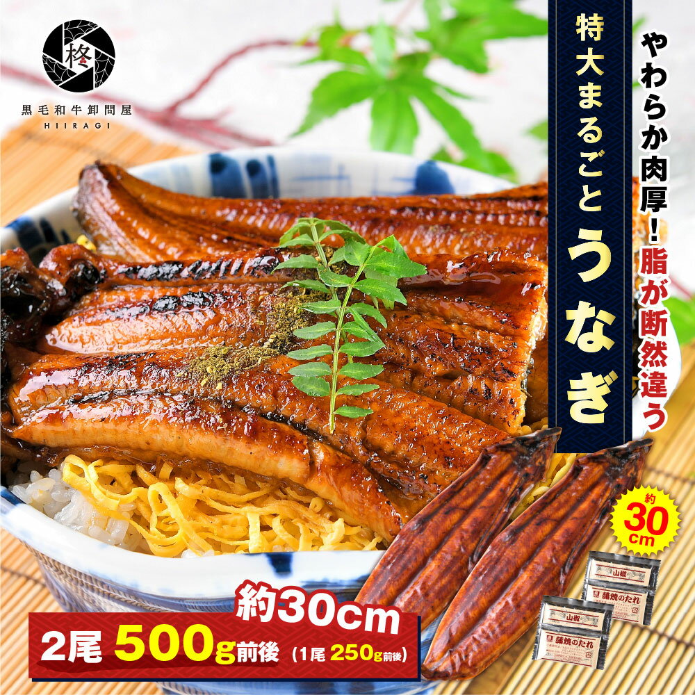 楽天黒毛和牛卸問屋　柊特大うなぎ 蒲焼き 2尾 （タレ 山椒 付） 送料無料 お取り寄せグルメ 贈り物 通販 冷凍食品