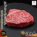 熊本和牛 あか牛 ヒレステーキ（120g×3枚）折箱入り■赤牛 褐牛 赤身肉 褐毛和種 阿蘇 肥後 ヘレ フィレ 食品 お取り寄せ グルメ 冷凍■贈りもの 贈り物 贈答品 プレゼント ギフトにも