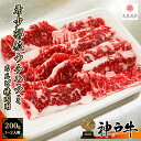 神戸牛 《A5等級メス牛》 神戸牛 希少部位 ウチハラミ 焼肉用 200g 1~2名様用 ハラミ カルビ インサイドスカート【 家庭用 グルメ ギフト 牛肉 国産牛 贈り物 残暑見舞 パーティー お祝い 誕生日 お土産 プレゼント 敬老の日 お歳暮 御歳暮 お中元 御中元 神戸ビーフ 】