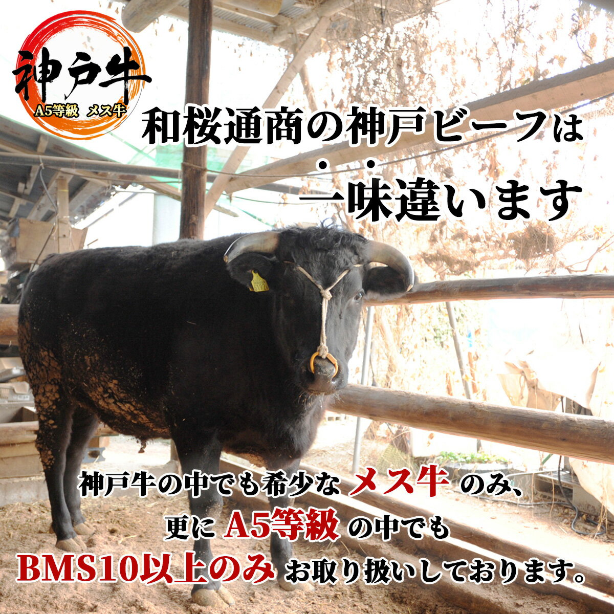 《A5等級メス牛》 神戸牛 特上ロース焼肉用 400g(200g×2パック) リブロース芯 霜降り肉 特上カルビと並ぶ焼肉商品の最高峰 霜降り肉がお好きな方はぜひ！【 黒毛和牛 A5等級 国産牛 ロース 神戸ビーフ お歳暮 ギフト グルメ 牛肉 】 2