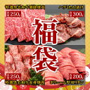 2024 福袋【3】 送料無料 【黒毛和牛 霜降り焼肉 250g 黒毛和牛 赤身焼肉 250g ハラミたれ漬け 300g 牛タン 200g お試し 焼肉 福袋】 2..