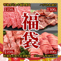 2023 福袋 送料無料 【黒毛和牛 霜降り焼肉 250g 黒毛和牛 赤身焼肉 250g ハラミたれ漬け 300g 牛タン 200g お試し 焼肉 福袋】 2023 福袋 福袋 セット 詰め合わせ 食品 お得 肉 焼肉 卒業祝い 入学祝い プレゼント