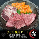 お一人様 焼肉セット【 3 】黒毛和牛 赤身 焼肉 100g 骨付きカルビ 100g 秘伝の味噌タレてっちゃん 200g 合計 400g 焼肉 バーベキュー BBQ BBQセット 焼肉セット ひとり焼肉 ソロキャンプ キャンプ肉 キャンプ飯