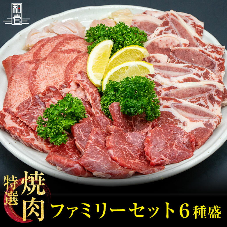 焼肉セット送料無料 焼肉 バーベキュー BBQ BBQセット 焼肉セット 焼肉盛り合わせ 牛 黒毛和牛 ホルモン タン 炭火