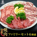 焼肉セット【 ファミリーセット 黒毛和牛 赤身焼肉 骨付きカルビ 特選ハラミ タンスライス テッチャン 上ミノ 740g 】送料無料 焼肉 バーベキュー BBQ BBQセット 焼肉セット 焼肉盛り合わせ 牛 黒毛和牛 ホルモン タン 炭火