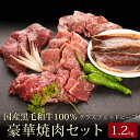 豪華焼肉セット／北海道産 黒毛和牛グラスフェッドビーフあす楽対応 お歳暮 御歳暮 歳暮 クリスマス パーティー ギフト 贈り物 贈答用 贈答品 プレゼント お祝い 御祝 誕生日 記念日 牛肉 お肉 バーベキュー BBQ