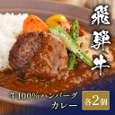 飛騨牛 牛100％ハンバーグ＋カレー ハンバーグ 国産 お肉 肉 牛肉 和牛 黒毛和牛 母の日 内祝い 誕生日 ギフト プレゼント お返し 贈り物 冷凍