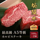 松阪牛 松阪牛 A5等級カルビ ステーキ100g ステーキ ステーキ肉 国産 お肉 肉 牛肉 和牛 黒毛和牛 母の日 内祝い 誕生日 ギフト プレゼント お返し 贈り物 冷凍