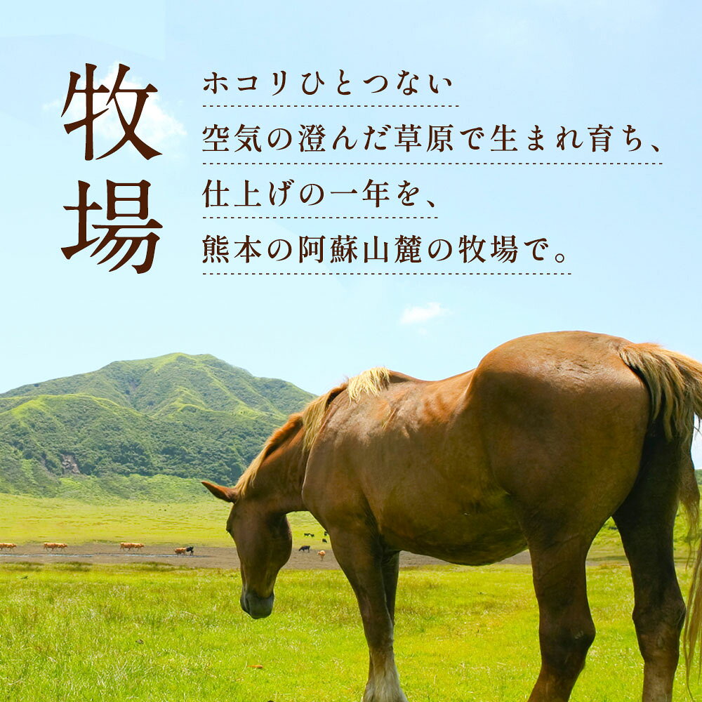 【DEAL10%ポイントバック】馬刺し ギフト ふじ馬刺し ヒレ シャトーブリアン 80g ...