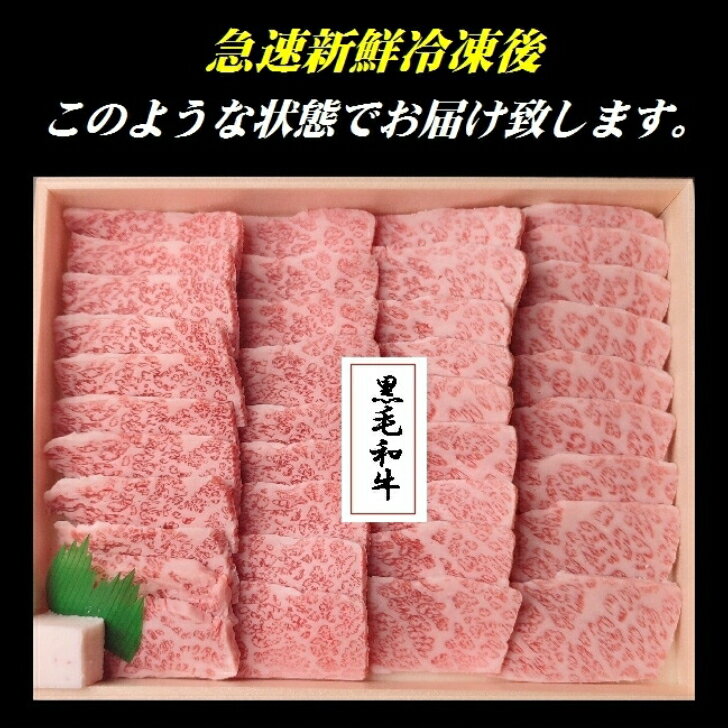 【送料無料】黒毛和牛特選カルビ500g 焼肉 ...の紹介画像2