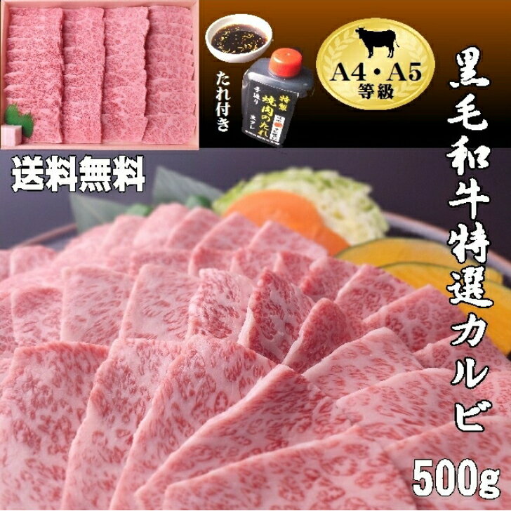 【送料無料】黒毛和牛特選カルビ500g 焼肉 和牛 ギフト お歳暮 お祝い 黒毛和牛 おいしい 焼肉 人気 ランキング 割引 焼肉セット 和牛 ..