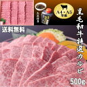 【送料無料】黒毛和牛特選カルビ500g 焼肉 和牛 ギフト お歳暮 お祝い 黒毛和牛 おいしい 焼肉 人気 ランキング 割引 焼肉セット 和牛 希少部位 バーベキュー 3〜4人前 国産 誕生日 御礼 プレゼント カルビ クリスマス お中元 グルメ 肉 希少部位 A5 父の日