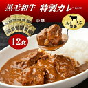 【送料無料】黒毛和牛特製カレー12食セット 和牛 特製 ビーフカレー6食(中辛)