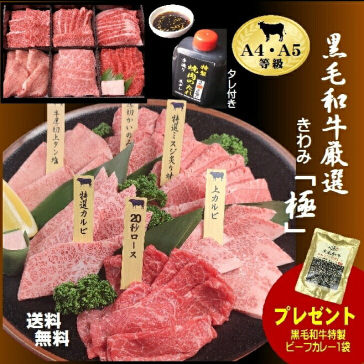 A4 A5 厳選 霜降り カルビ 牛タン タレ付【送料無料】黒毛和牛厳選極セット 600g 焼肉 ギフト お歳暮 お祝い 黒毛和牛 おいしい焼肉 人気 ランキング 割引 焼肉セット 焼肉 お中元 バーベキュー 和牛 誕生日 御礼 カルビ 肉 高級 A5 化粧箱入 値打ち 安全 お取り寄せ クリスマス 父の日 お正月 内祝い