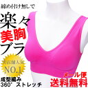 『楽々美胸ブラ♪』 送料無料/ノンワイヤーブラ/オヤスミブラ...