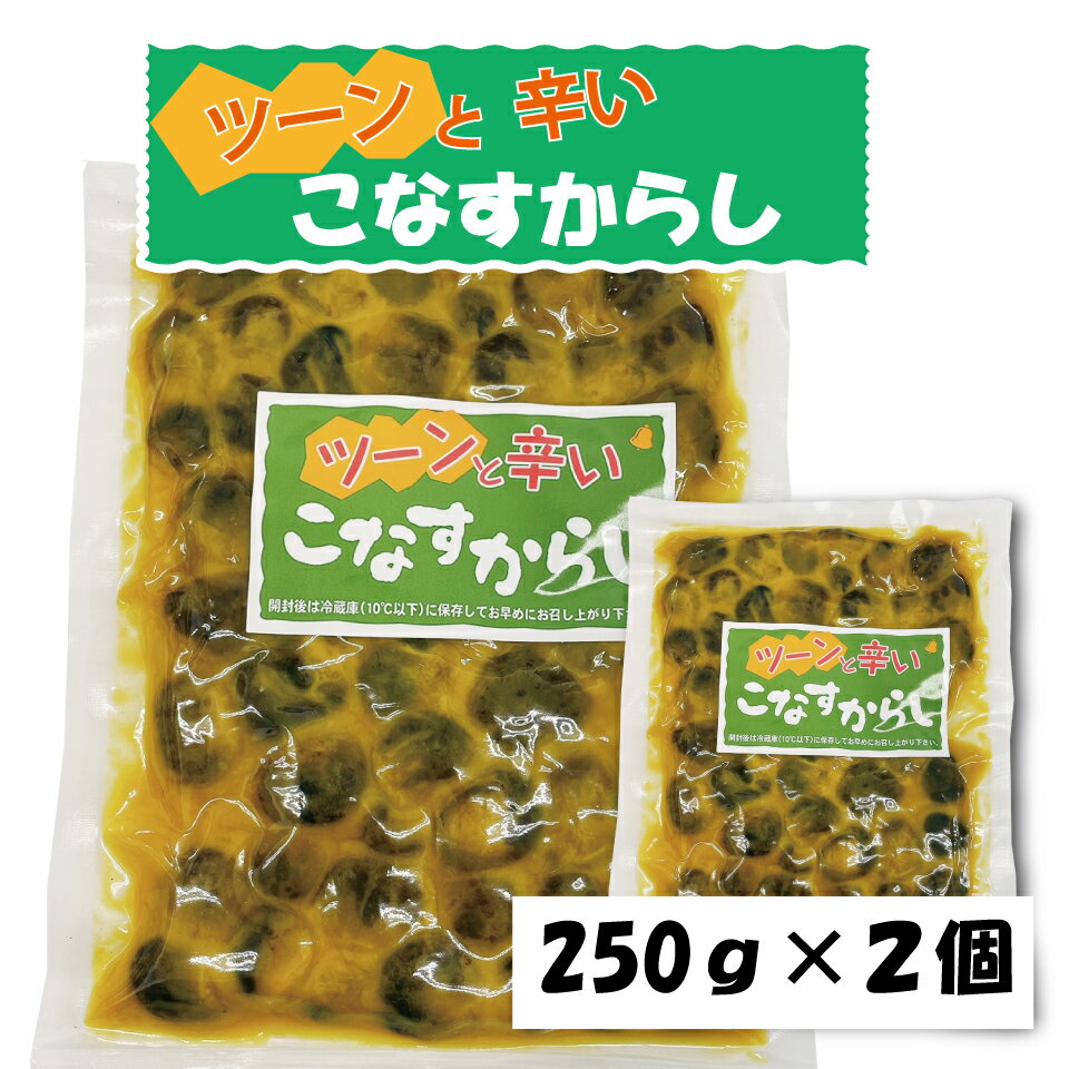 お中元 送料無料 粕漬け こなすからし 国産 250g×2個 漬物 辛い おつまみ ご飯のお供 辛子 こなす メール便 ポスト投函 買い回り やみつき 岡山 父...