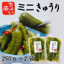 お中元 送料無料 ミニきゅうり 250g×2袋 きゅうり 漬物 ピリ辛 おつまみ 家飲み ご飯のお供 買い回り やみつき グルメ食品 ポイント消化 sale 対象 食品 お取り寄せグルメ コロナ 岡山 父の日