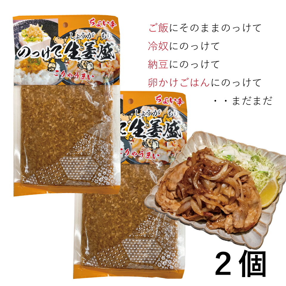 お中元 送料無料 のっけて生姜盛 2個 刻み生姜 ご飯のお供 薬味 漬物 おかず生姜 おつまみ 万能おかず 生姜 おかずしょうが グルメ食品 産直 ご飯のお供 お取り寄せ 買い回り 対象 岡山 父の日