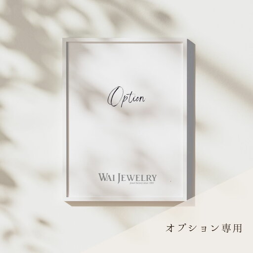 オプション専用 WAIJEWELRY オプション専用 WAIJEWELRY