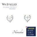 馬蹄 Horseshoe プリンセスカットダイヤモンド プラチナ ピアス 両耳用 誕生日 結婚記念日 4月誕生石 上品 贈り物 ギフト 人気 エレガント ジュエリーケース プレゼント ご褒美ジュエリー 30代 40代 50代 ジュエリー 実用的 送料無料 新生活 母の日(4)