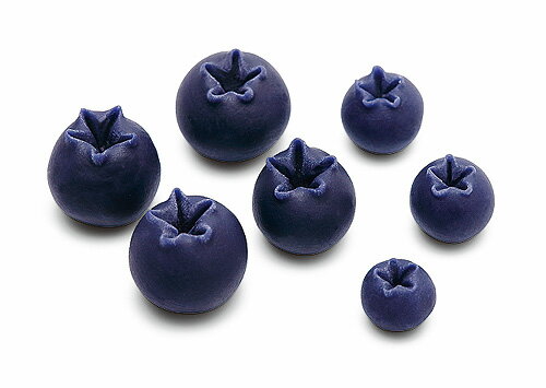 タミヤ着色剤　カラー粘土の達人　ブルーベリー