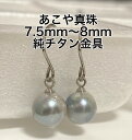 【訳あり】あこや真珠ピアス 7.5mm-8mm 純チタンフック グレー/ブルーグレー 金属アレルギー対応 548 アメリカン 大人レディース女子プレゼント アコ...