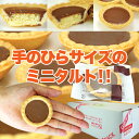 【送料無料】チョコタルトどっさり40個 チョコとタルトの絶妙な美味しさがやみつき お徳用 個包装 大容量 スイーツ 洋菓子 チョコレートタルト チョコタルト タルト お花見 3