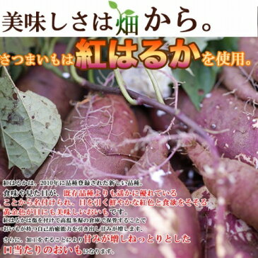 【即納】【メール便送料無料】訳あり 国産干し芋200g　静岡/鹿児島産紅はるか使用!!