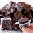 【送料無料】プチ 炭焼珈琲ゼリー 50個 お徳用 個包装 スイーツ お菓子 おやつ コーヒーゼリー デザート 一口サイズ プレゼント ギフト 敬老の日 文化祭 ...