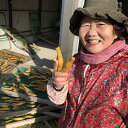【完全天日干し】れいこばあちゃんの干し芋☆平干し 1kg☆紅はるか☆茨城県ひたちなか市産☆ミシュラン3つ星御用達店☆