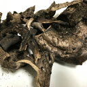 【国産 天然】乾燥香茸30g(乾燥前:300g) ☆ミシュラン3つ星御用達店!