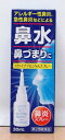 【第2類医薬品】スカイブブロンNAスプレー30ml
