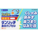 【第(2)類医薬品】ダンリッチ持続性鼻炎カプセル20カプセル