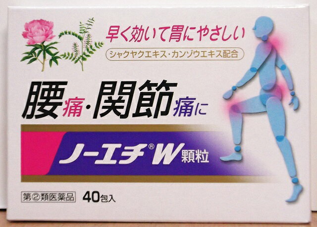 【第(2)類医薬品】ノーエチW顆粒40包