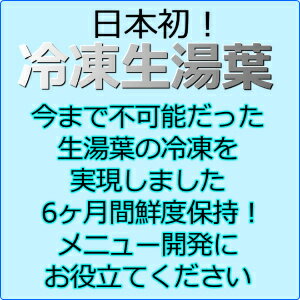 冷凍【30枚】【業務用平湯葉ボリュームセット3...の紹介画像3