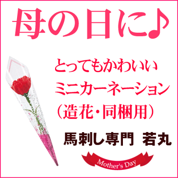 ★★ミニカーネーション造花★★ 母の日ギフト【馬刺し専門 若丸専用】 ※購入商品と同梱して下さい。母の日のギフトに！【RCP】【ギフト】【楽ギフ_】