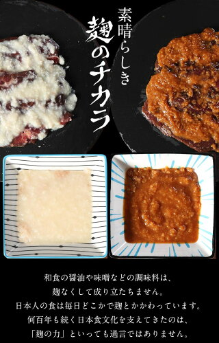 【やきにく用】馬肉醤油麹焼肉用500g加熱用焼き肉醤油糀焼肉醤油糀糀糀漬け糀漬醤油麹麹麹漬け麹漬醤油こうじこうじお中元お歳暮肉ギフト焼肉バーベキューにメガ盛り焼き肉BBQ父の日ギフト父の日プレゼント