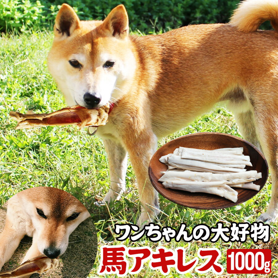 馬アキレス 1kg 〔200g ×5パック〕 ペット用 馬肉 犬 おやつ 馬アキレス ガム 犬 おやつ 無添加 歯みがき 歯磨き ハミガキ 犬のおやつ 歯石 犬おやつ 歯磨きガム 犬のガム はみがき 犬のオヤツ 犬用品 犬用おやつ アキレス アキレス腱 いぬ 犬用ガム デンタルケア 馬