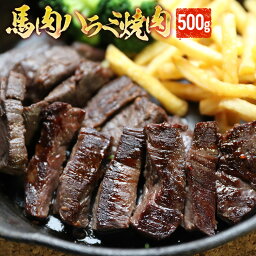 タレ漬け馬ハラミ焼肉用 500g 【加熱用】 焼肉 バーベキュー ハラミ 馬ハラミ メガ盛り 焼き肉 BBQ 父の日 ギフト 父の日 ギフト 馬肉焼き肉 帰省土産 パーティー 馬焼肉 馬肉焼肉