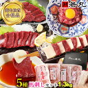 馬刺し 【人気5種 赤身 ロース ヒレ タテガミ 中落ち赤身のセット】 詰合せ 詰め合せ ギフト お取り寄せグルメ プレゼント 高級 実用的 馬刺 肉 おつまみ...