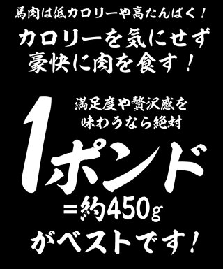 馬肉1ポンドステーキ用約450g!馬肉ステーキヘルシーダイエット低脂肪低カロリーギフトステーキ馬ステーキワンポンド1ポンド1pondsteak