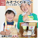 春に味噌を仕込もう！！説明書＆動画QRコード付き 『みそづくりキット』出来高4キロ(樽あり）味噌 みそ おうち みそづくり セット 味噌作りセット 無添加 国産 手作り キット 親子 小学生 幼稚園 保育園 食育 体験 味噌作り 子供 お子様 体験 動画 Youtube 宿題