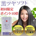 【初回購入限定ポイント10倍&送料無料】黒ツヤソフト 和漢ア...