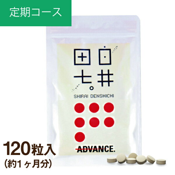 白井田七（120粒入り)定期コース【公式】｜ 白井田七人参 サプリ サポニン 和漢の森 送料無料 田七人参 有機 ギフト 三七人参 白井伝七 痛風 尿酸値 血糖値 ランキング 即納 お得 セール しらいでんしち 更年期