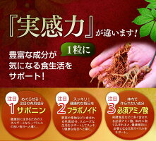田七人参に注目の栄養成分はサポニン・フラボノイド・必須アミノ酸