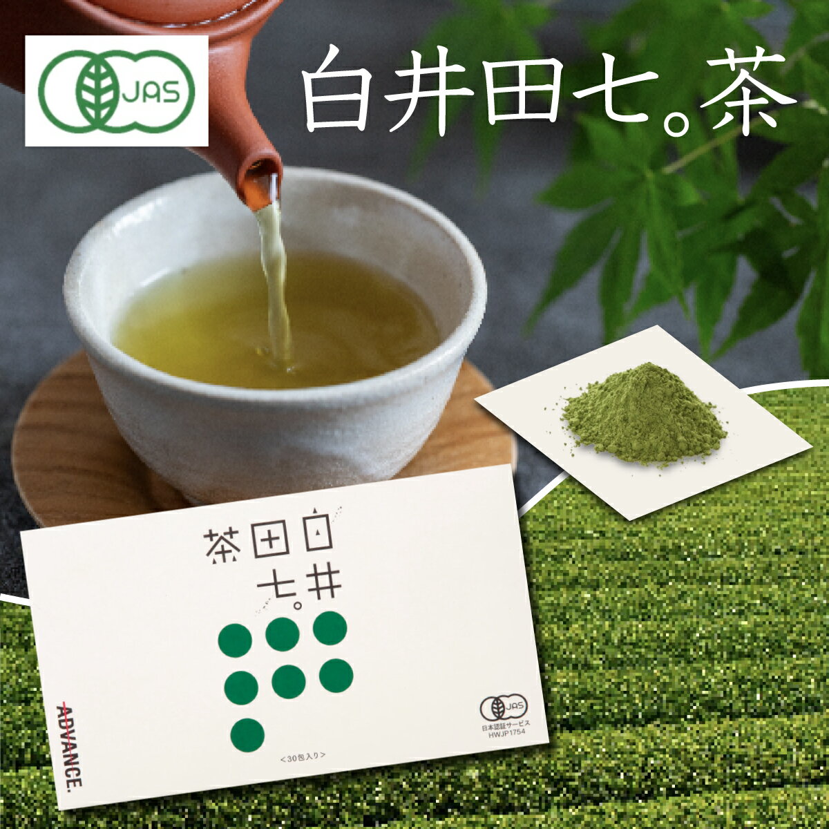 【エントリーでP10倍】高級緑茶 白井田七。茶 粉末 緑茶 お茶 日本茶 茶葉 静岡茶 白井田七 花粉 粉末茶 テアニン サポニン アレルギー 田七人参 田七人参茶 カテキン カテキン茶 雲南 高麗人参 エキス ドリンク お茶パック ティーバッグ 緑茶割り 粉末 更年期 イライラ