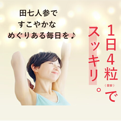 サンプル＆ピルケース付き 白井田七 240粒 瓶タイプ 白井田七人参 サプリメント サポニン 漢方 サプリ 和漢の森 有機 送料無料 田七人参 尿酸値 血糖値 白井伝七 しらいでんしち 血圧 肝臓 有機jas規格 アドバンス 更年期　イライラ 2