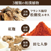 松樹皮エキス紅麴田七人参