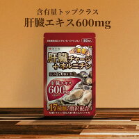肝臓チャージオルニチン