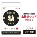 【最大2,000円OFF】糖尿病 血糖値 糖ケア田七 60粒 下げる サプリメント サプリ おすすめ 糖質 薬 糖質制限 サポニン 田七人参 抑える ジンセノサイド 有機 ランキング 和漢の森 送料無料 血糖値を下げる 糖尿病ケア ヘモグロビンa1c カット